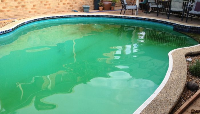 Before: A poolfab pool that needed a new pool liner and some new tiles
